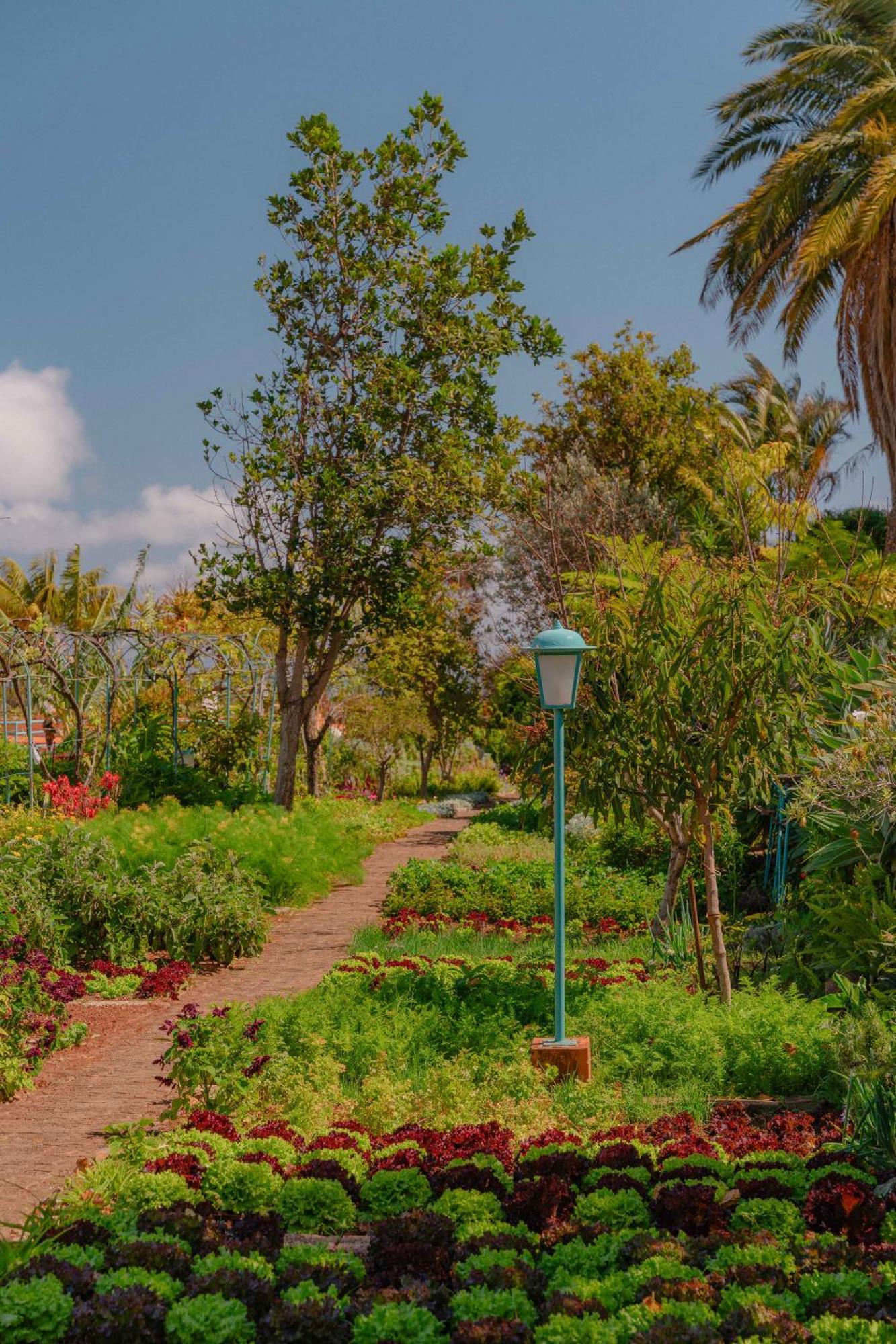 Quinta Splendida Wellness & Botanical Garden Hotel Caniço Екстериор снимка